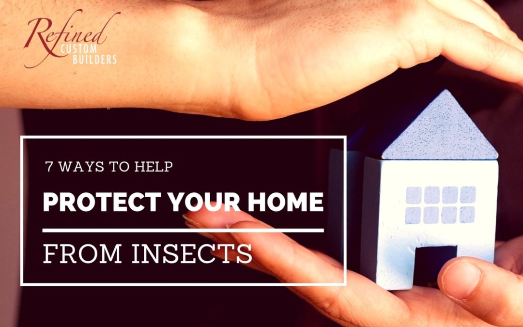 7 Ways to Help Protect Your Home from Insects